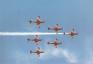 Roulettes "Wedge"