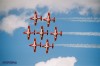 Snowbirds