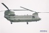 Chinook