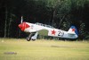 Yak-11