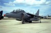 Harrier