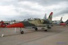 tn_riat04_l39_2_jpg.jpg (2878 Byte)